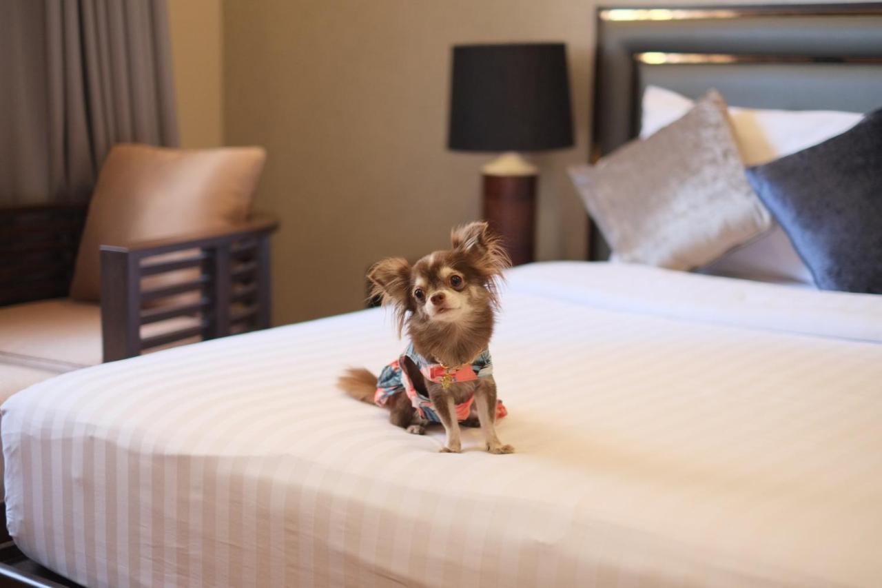 Grand Mercure Bangkok Asoke Residence Екстериор снимка